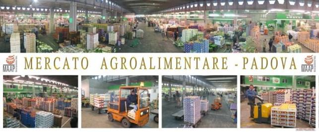 Risultati immagini per foto interni del mercato agroalimentare di padova